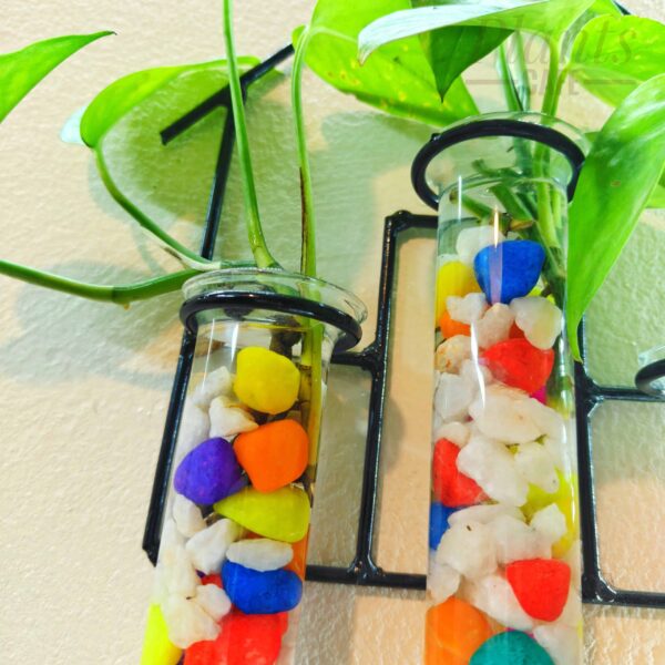 Home Design Metal Hanging Tube Planter for Hydroponic Plants Home and Office Decoration with Colorful Stone