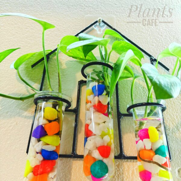 Home Design Metal Hanging Tube Planter for Hydroponic Plants Home and Office Decoration with Colorful Stone