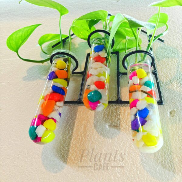 Home Design Metal Hanging Tube Planter for Hydroponic Plants Home and Office Decoration with Colorful Stone