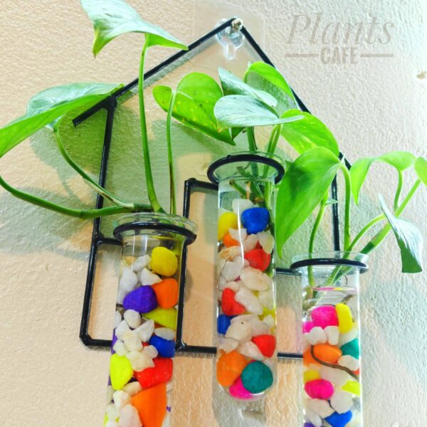 Home Design Metal Hanging Tube Planter for Hydroponic Plants Home and Office Decoration with Colorful Stone