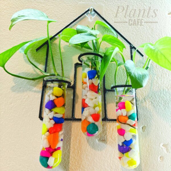 Home Design Metal Hanging Tube Planter for Hydroponic Plants Home and Office Decoration with Colorful Stone
