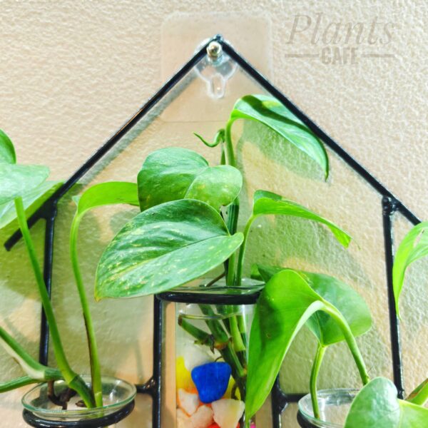 Home Design Metal Hanging Tube Planter for Hydroponic Plants Home and Office Decoration with Colorful Stone