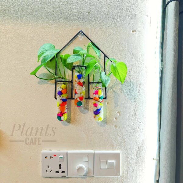 Home Design Metal Hanging Tube Planter for Hydroponic Plants Home and Office Decoration with Colorful Stone