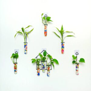 Double Combo Planters set - Metal Hanger 5 Piece and Home Design Metal Hanger Tube Planter for Hydroponic Plants Home and Office Decoration with Colorful Stone