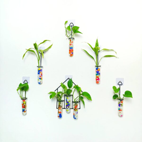 Double Combo Planters set - Metal Hanger 5 Piece and Home Design Metal Hanger Tube Planter for Hydroponic Plants Home and Office Decoration with Colorful Stone