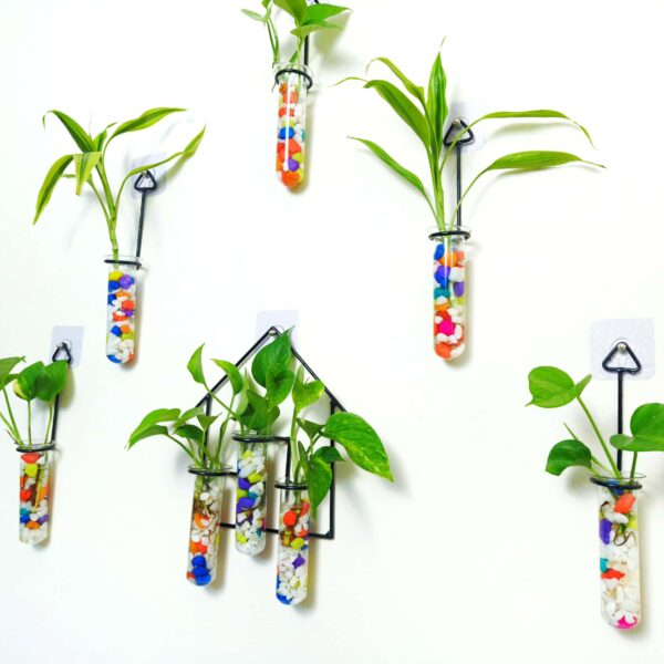 Double Combo Planters set - Metal Hanger 5 Piece and Home Design Metal Hanger Tube Planter for Hydroponic Plants Home and Office Decoration with Colorful Stone
