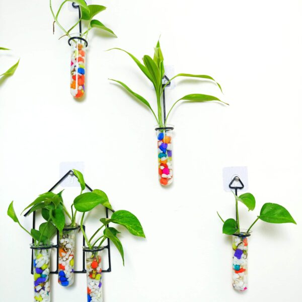 Double Combo Planters set - Metal Hanger 5 Piece and Home Design Metal Hanger Tube Planter for Hydroponic Plants Home and Office Decoration with Colorful Stone