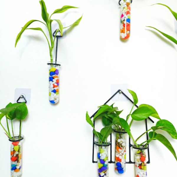 Double Combo Planters set - Metal Hanger 5 Piece and Home Design Metal Hanger Tube Planter for Hydroponic Plants Home and Office Decoration with Colorful Stone