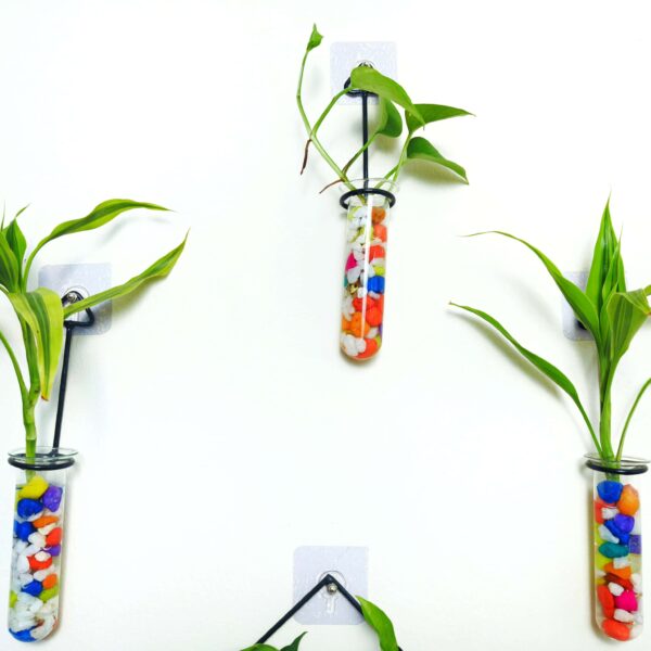 Double Combo Planters set - Metal Hanger 5 Piece and Home Design Metal Hanger Tube Planter for Hydroponic Plants Home and Office Decoration with Colorful Stone