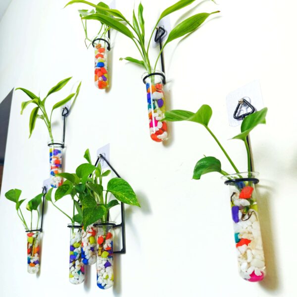 Double Combo Planters set - Metal Hanger 5 Piece and Home Design Metal Hanger Tube Planter for Hydroponic Plants Home and Office Decoration with Colorful Stone