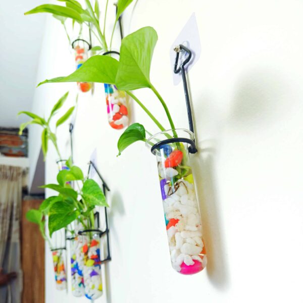 Double Combo Planters set - Metal Hanger 5 Piece and Home Design Metal Hanger Tube Planter for Hydroponic Plants Home and Office Decoration with Colorful Stone