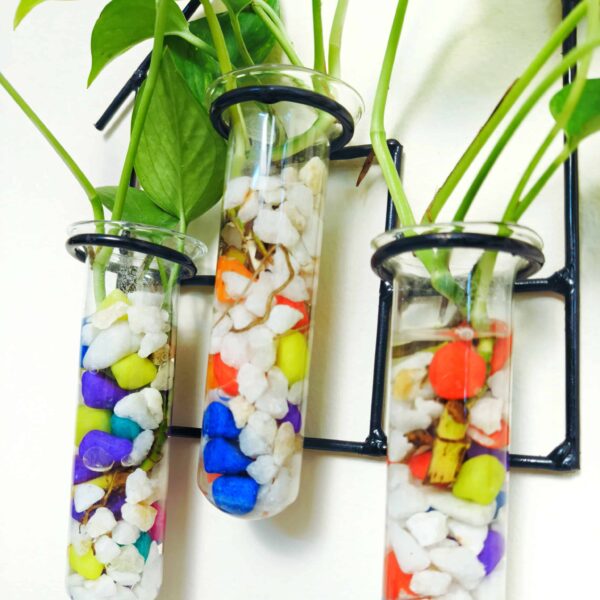 Double Combo Planters set - Metal Hanger 5 Piece and Home Design Metal Hanger Tube Planter for Hydroponic Plants Home and Office Decoration with Colorful Stone