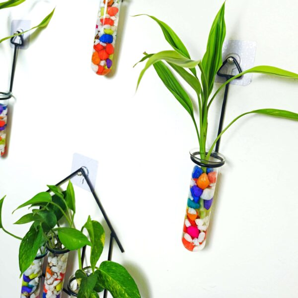 Double Combo Planters set - Metal Hanger 5 Piece and Home Design Metal Hanger Tube Planter for Hydroponic Plants Home and Office Decoration with Colorful Stone