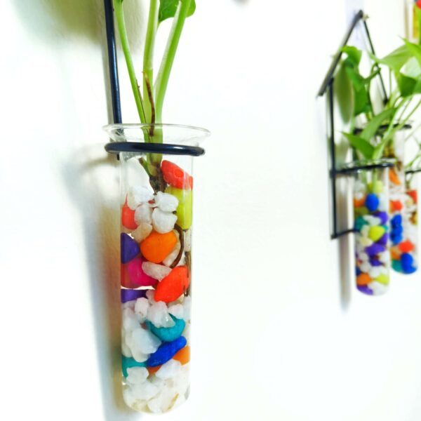 Double Combo Planters set - Metal Hanger 5 Piece and Home Design Metal Hanger Tube Planter for Hydroponic Plants Home and Office Decoration with Colorful Stone