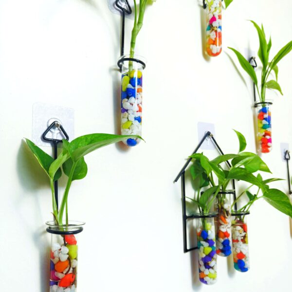 Double Combo Planters set - Metal Hanger 5 Piece and Home Design Metal Hanger Tube Planter for Hydroponic Plants Home and Office Decoration with Colorful Stone