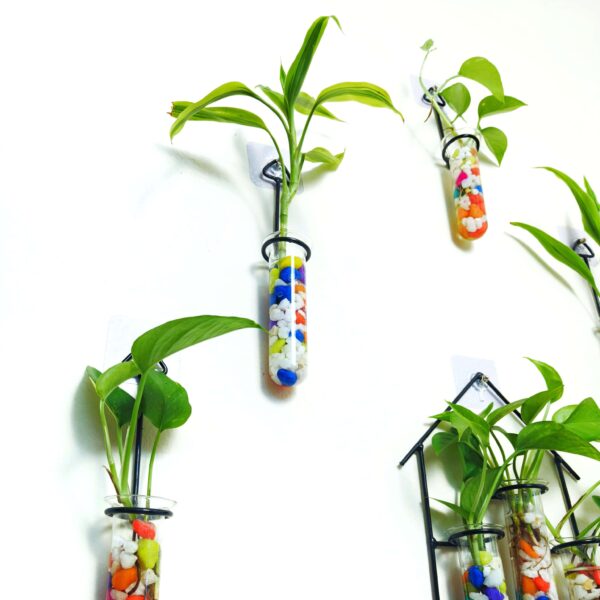Double Combo Planters set - Metal Hanger 5 Piece and Home Design Metal Hanger Tube Planter for Hydroponic Plants Home and Office Decoration with Colorful Stone