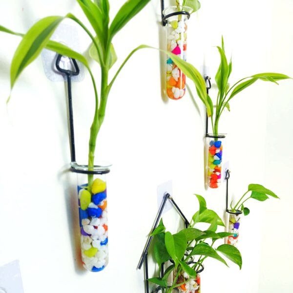 Double Combo Planters set - Metal Hanger 5 Piece and Home Design Metal Hanger Tube Planter for Hydroponic Plants Home and Office Decoration with Colorful Stone