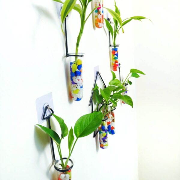 Double Combo Planters set - Metal Hanger 5 Piece and Home Design Metal Hanger Tube Planter for Hydroponic Plants Home and Office Decoration with Colorful Stone