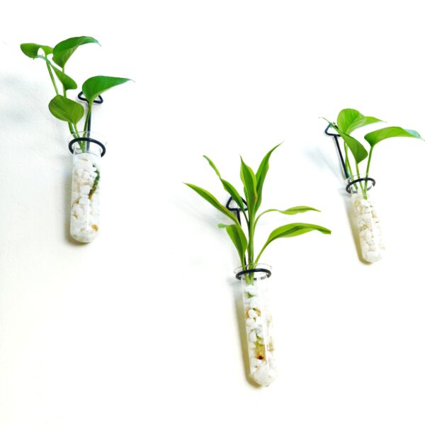 Metal Hanging 3 Piece Combo Tube Planter for Hydroponic Plants Home and Office Decoration with Natural White Stone