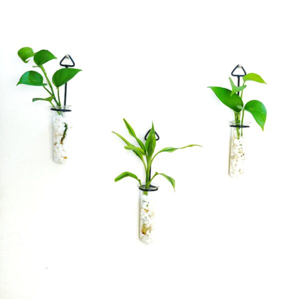 Metal Hanging 3 Piece Combo Tube Planter for Hydroponic Plants Home and Office Decoration with Natural White Stone