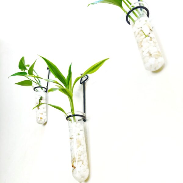 Metal Hanging 3 Piece Combo Tube Planter for Hydroponic Plants Home and Office Decoration with Natural White Stone