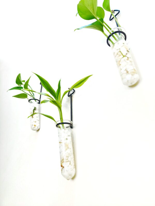 Metal Hanging 3 Piece Combo Tube Planter for Hydroponic Plants Home and Office Decoration with Natural White Stone