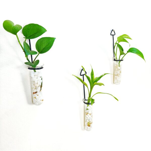Metal Hanging 3 Piece Combo Tube Planter for Hydroponic Plants Home and Office Decoration with Natural White Stone