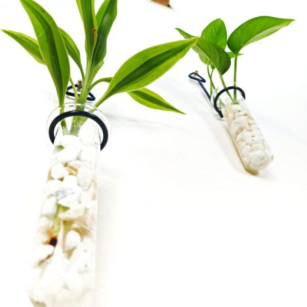 Metal Hanging 3 Piece Combo Tube Planter for Hydroponic Plants Home and Office Decoration with Natural White Stone