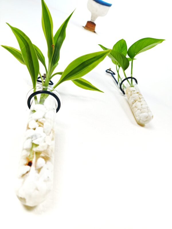Metal Hanging 3 Piece Combo Tube Planter for Hydroponic Plants Home and Office Decoration with Natural White Stone