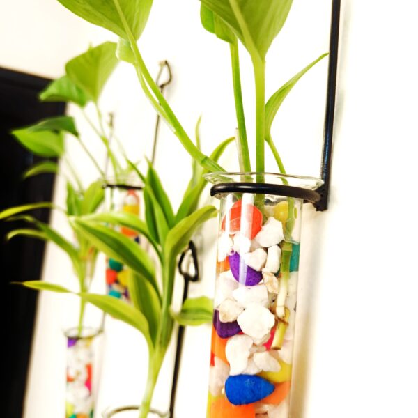 Metal Hanging 5 Piece Combo Tube Planter for Hydroponic Plants Home and Office Decoration with Colorful Stone