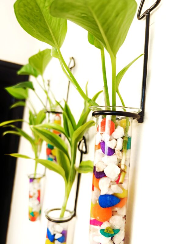 Metal Hanging 5 Piece Combo Tube Planter for Hydroponic Plants Home and Office Decoration with Colorful Stone