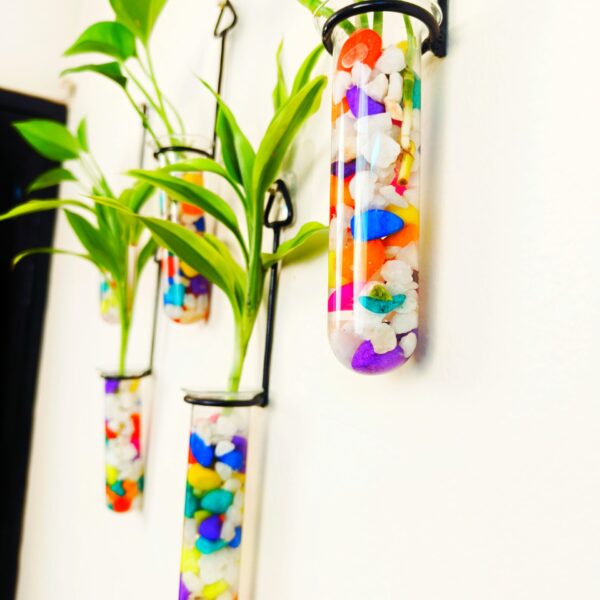 Metal Hanging 5 Piece Combo Tube Planter for Hydroponic Plants Home and Office Decoration with Colorful Stone
