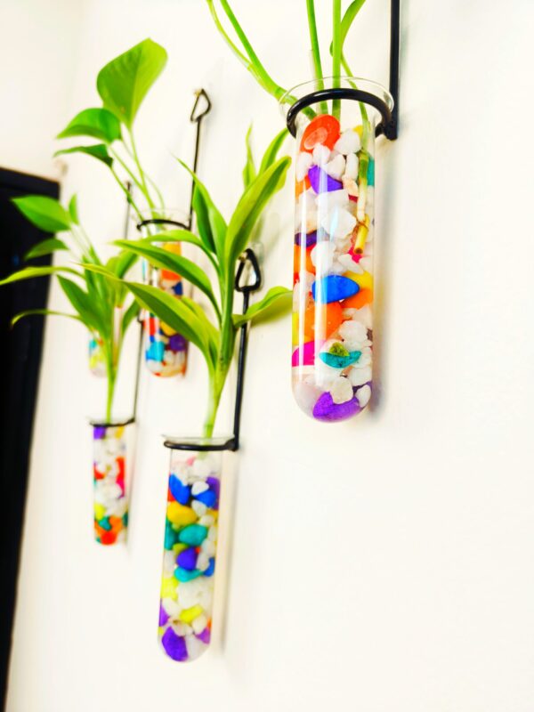 Metal Hanging 5 Piece Combo Tube Planter for Hydroponic Plants Home and Office Decoration with Colorful Stone