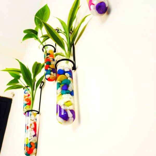 Metal Hanging 5 Piece Combo Tube Planter for Hydroponic Plants Home and Office Decoration with Colorful Stone