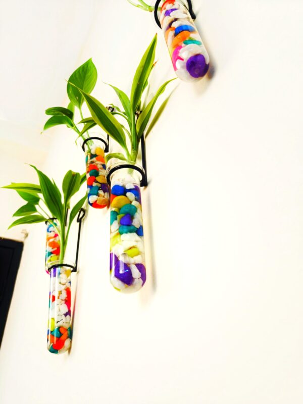 Metal Hanging 5 Piece Combo Tube Planter for Hydroponic Plants Home and Office Decoration with Colorful Stone