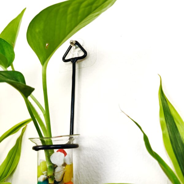 Metal Hanging 5 Piece Combo Tube Planter for Hydroponic Plants Home and Office Decoration with Colorful Stone