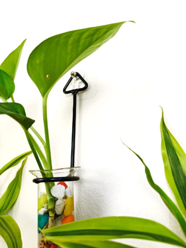 Metal Hanging 5 Piece Combo Tube Planter for Hydroponic Plants Home and Office Decoration with Colorful Stone