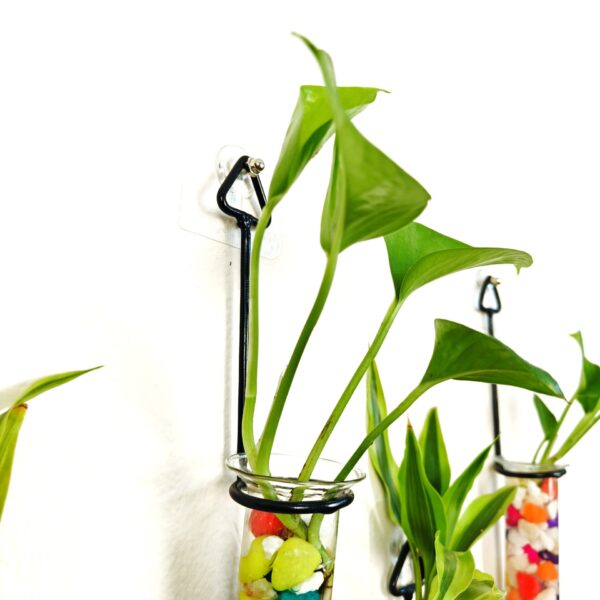 Metal Hanging 5 Piece Combo Tube Planter for Hydroponic Plants Home and Office Decoration with Colorful Stone