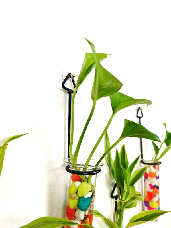 Metal Hanging 5 Piece Combo Tube Planter for Hydroponic Plants Home and Office Decoration with Colorful Stone