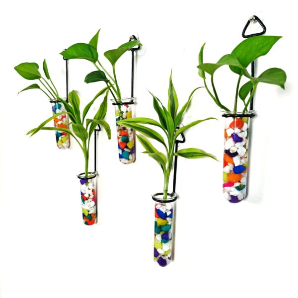 Metal Hanging 5 Piece Combo Tube Planter for Hydroponic Plants Home and Office Decoration with Colorful Stone