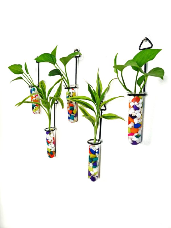 Metal Hanging 5 Piece Combo Tube Planter for Hydroponic Plants Home and Office Decoration with Colorful Stone