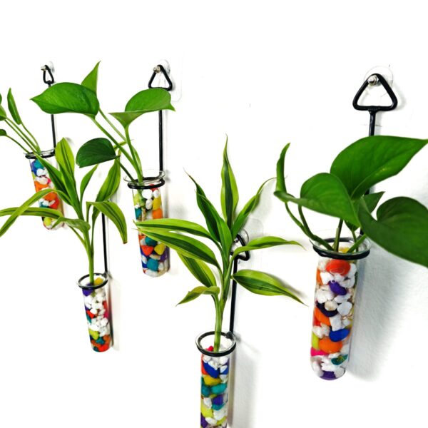 Metal Hanging 5 Piece Combo Tube Planter for Hydroponic Plants Home and Office Decoration with Colorful Stone