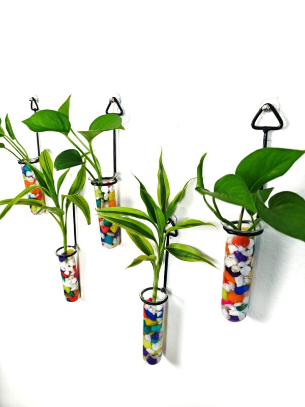 Metal Hanging 5 Piece Combo Tube Planter for Hydroponic Plants Home and Office Decoration with Colorful Stone