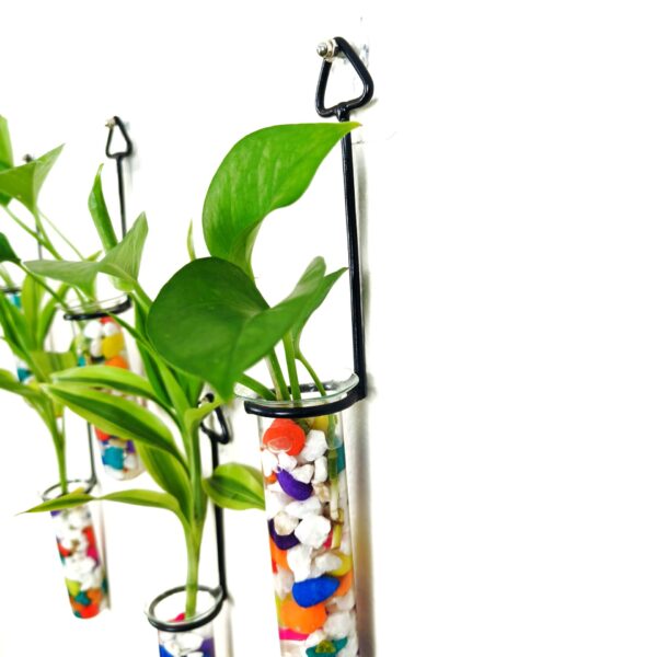 Metal Hanging 5 Piece Combo Tube Planter for Hydroponic Plants Home and Office Decoration with Colorful Stone