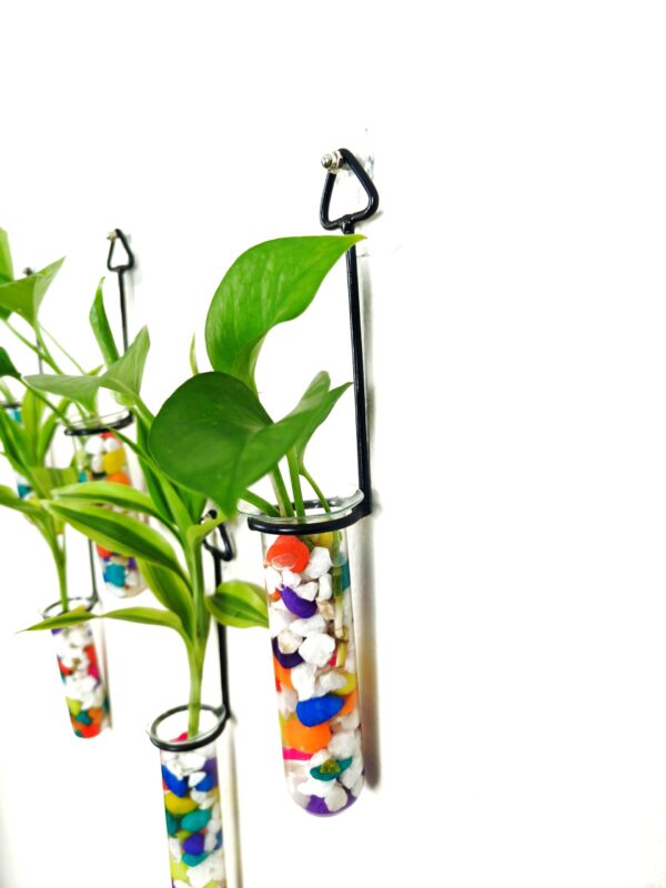Metal Hanging 5 Piece Combo Tube Planter for Hydroponic Plants Home and Office Decoration with Colorful Stone