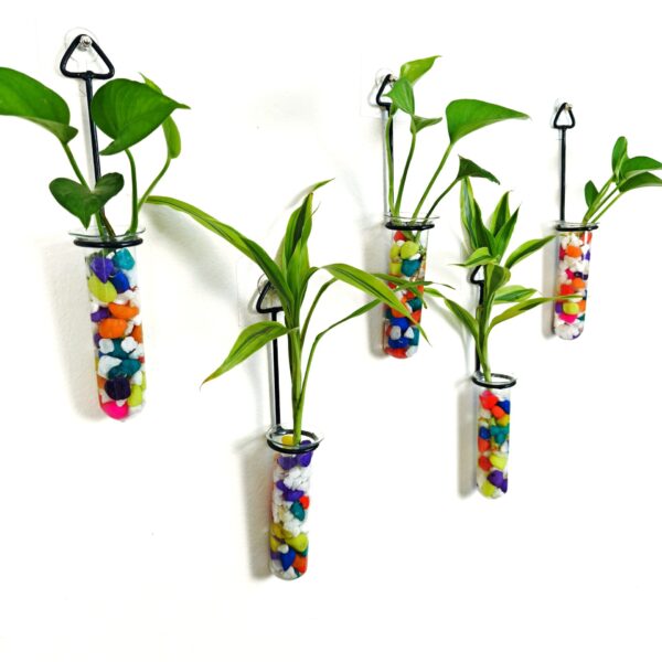 Metal Hanging 5 Piece Combo Tube Planter for Hydroponic Plants Home and Office Decoration with Colorful Stone