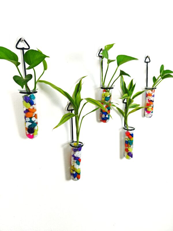 Metal Hanging 5 Piece Combo Tube Planter for Hydroponic Plants Home and Office Decoration with Colorful Stone