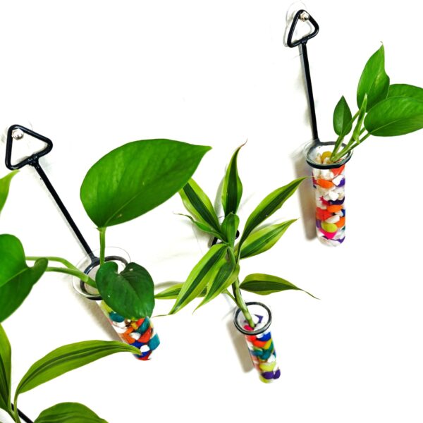 Metal Hanging 5 Piece Combo Tube Planter for Hydroponic Plants Home and Office Decoration with Colorful Stone
