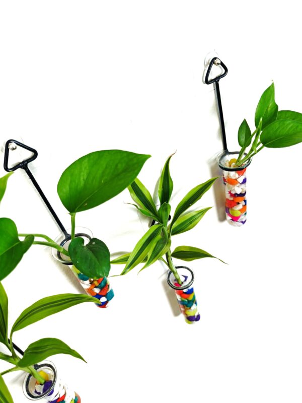 Metal Hanging 5 Piece Combo Tube Planter for Hydroponic Plants Home and Office Decoration with Colorful Stone