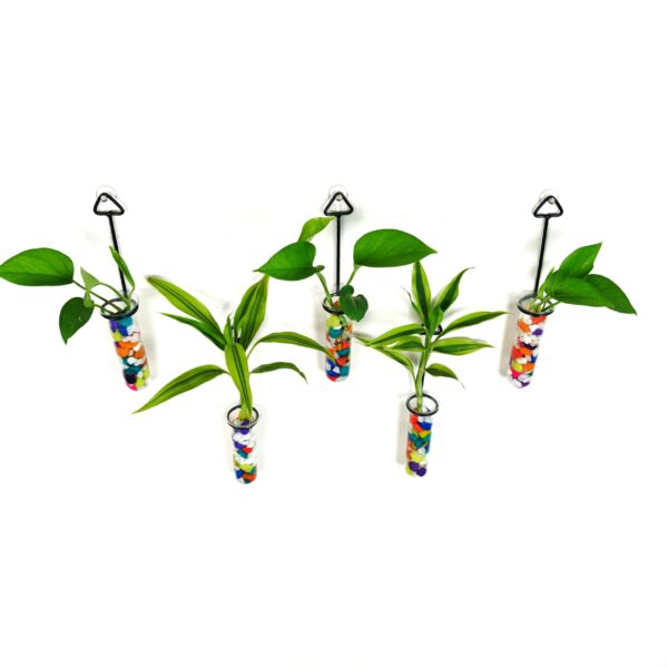 Metal Hanging 5 Piece Combo Tube Planter for Hydroponic Plants Home and Office Decoration with Colorful Stone